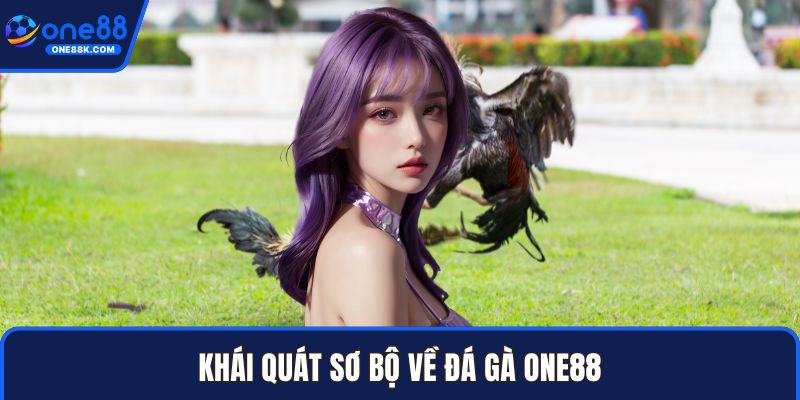 Khái quát sơ bộ về đá gà ONE88