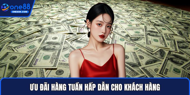 Ưu đãi hàng tuần hấp dẫn cho khách hàng